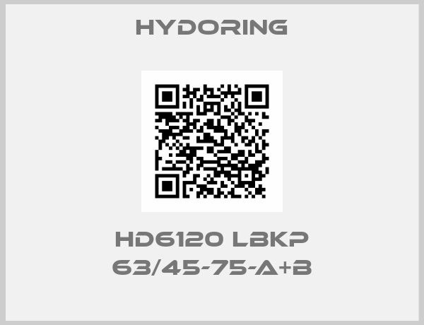 Hydoring-HD6120 LBKP 63/45-75-A+B