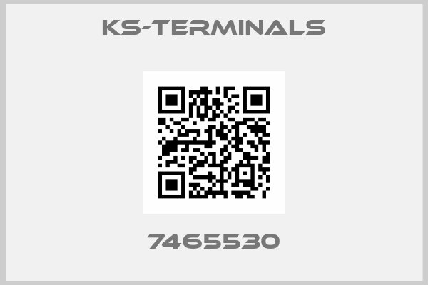 ks-terminals-7465530