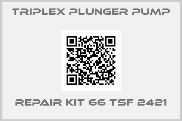 Triplex Plunger Pump-REPAIR KIT 66 TSF 2421