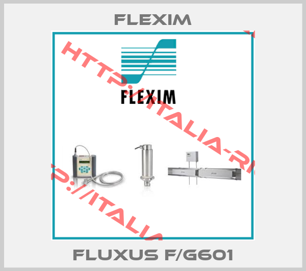 Flexim- Fluxus F/G601