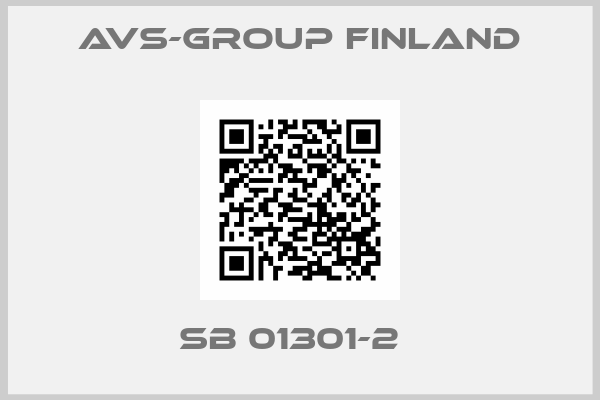 AVS-Group Finland-SB 01301-2  
