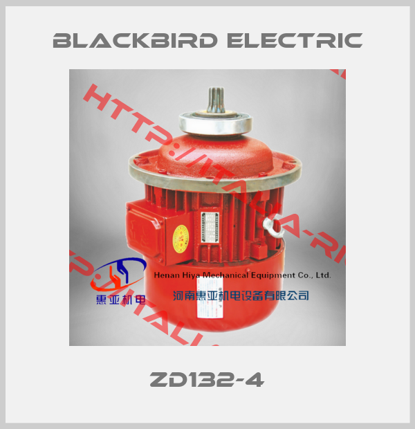 Blackbird Electric-ZD132-4