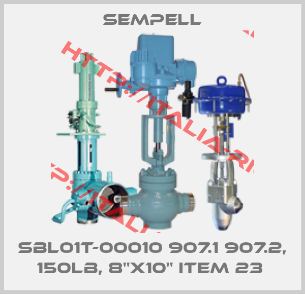 Sempell-SBL01T-00010 907.1 907.2, 150LB, 8"X10" ITEM 23 