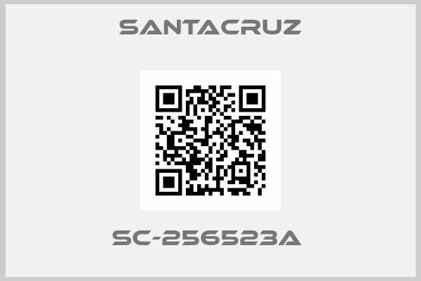 SANTACRUZ-SC-256523A 