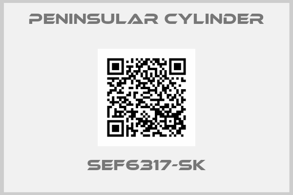 Peninsular Cylinder-SEF6317-SK