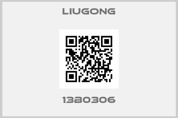 LIUGONG-13B0306