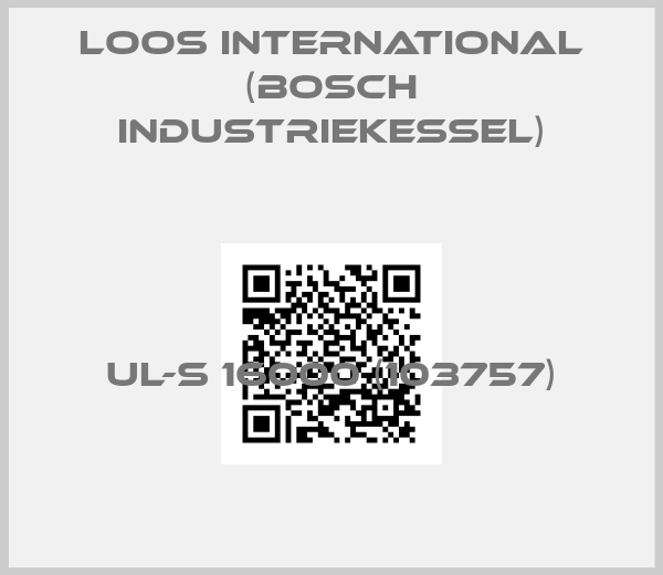 Loos International (Bosch Industriekessel)-UL-S 16000 (103757)