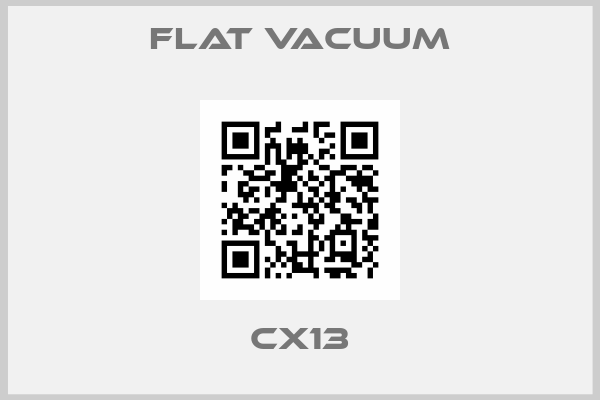 Flat Vacuum-CX13