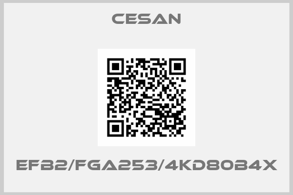 Cesan-EFB2/FGA253/4KD80B4X