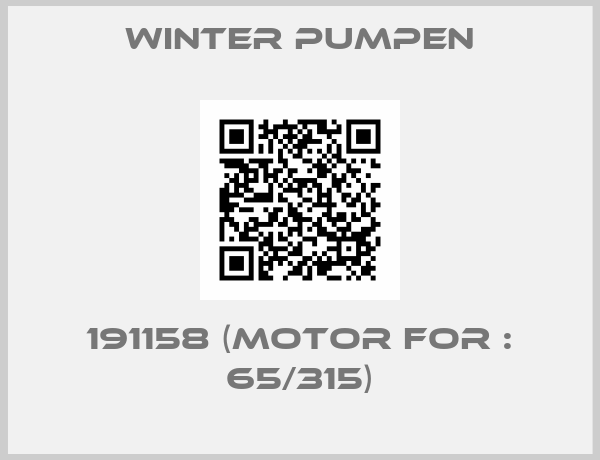 Winter Pumpen-191158 (Motor for : 65/315)