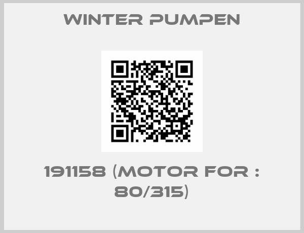 Winter Pumpen-191158 (Motor for : 80/315)