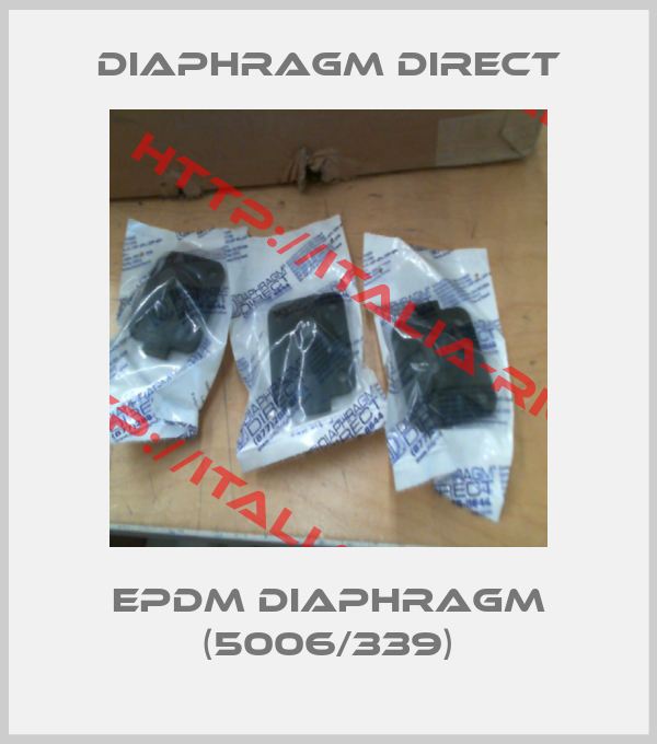 Diaphragm Direct-EPDM Diaphragm (5006/339)
