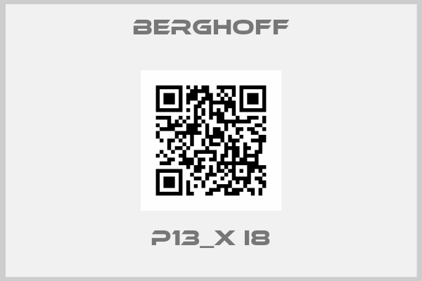 Berghoff-P13_x I8