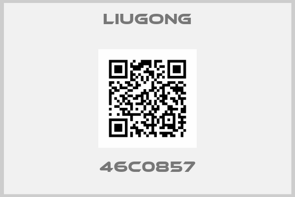 LIUGONG-46C0857