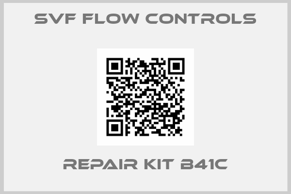 svf flow controls-repair kit B41C
