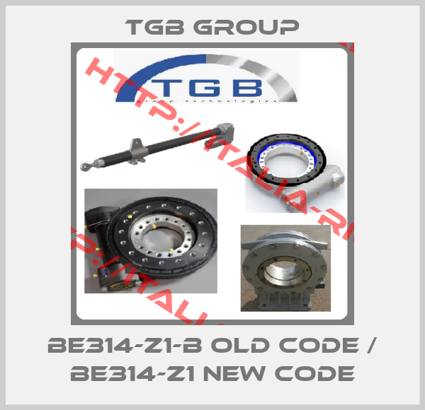 TGB GROUP-BE314-Z1-B old code / BE314-Z1 new code