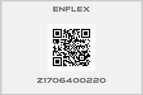Enflex-Z1706400220