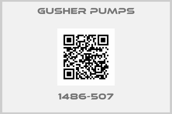 GUSHER PUMPS-1486-507