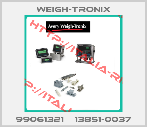 WEIGH-TRONIX-99061321    13851-0037