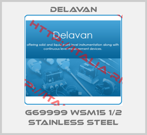 Delavan-G69999 WSM15 1/2 stainless steel