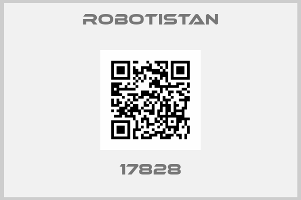 Robotistan-17828