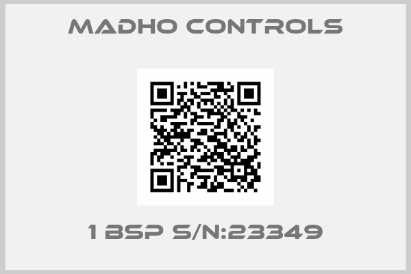 MADHO CONTROLS-1 BSP S/N:23349