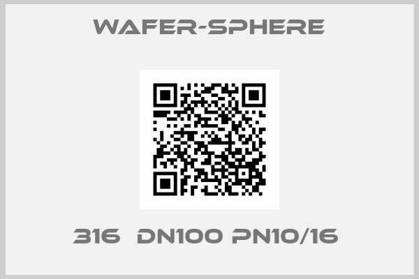 Wafer-Sphere-316  DN100 PN10/16 