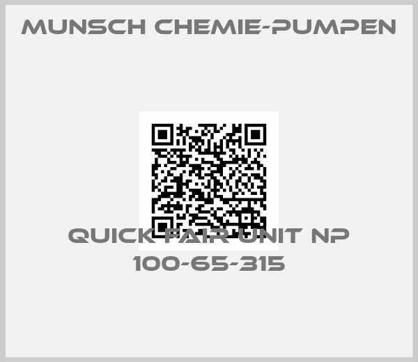 Munsch Chemie-Pumpen -QUICK FAIR UNIT NP 100-65-315