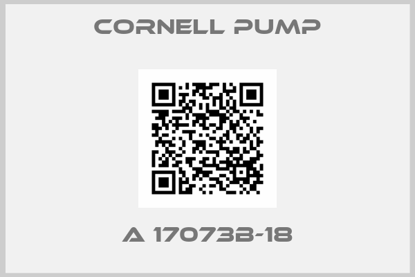 Cornell Pump-A 17073B-18