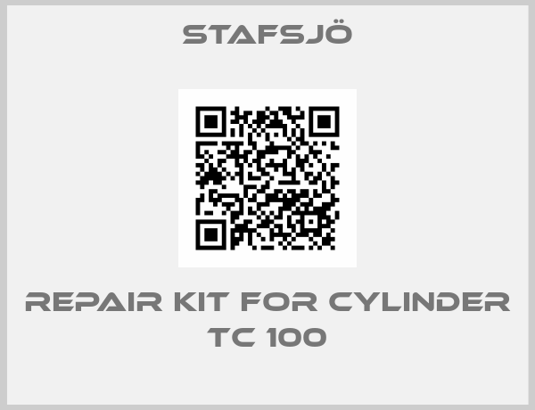 Stafsjö-repair kit for CYLINDER TC 100