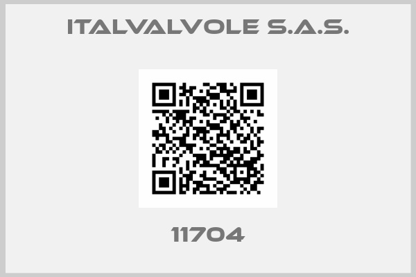 ITALVALVOLE S.A.S.-11704