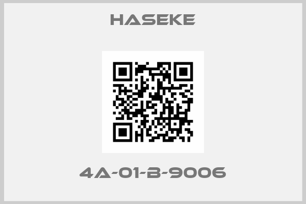 Haseke-4A-01-B-9006