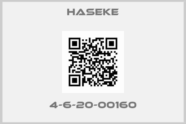 Haseke-4-6-20-00160