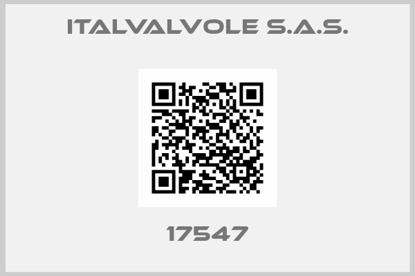 ITALVALVOLE S.A.S.-17547