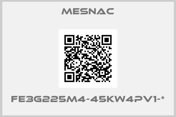 Mesnac-FE3G225M4-45KW4PV1-*