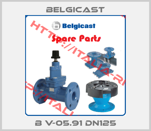Belgicast-B V-05.91 DN125