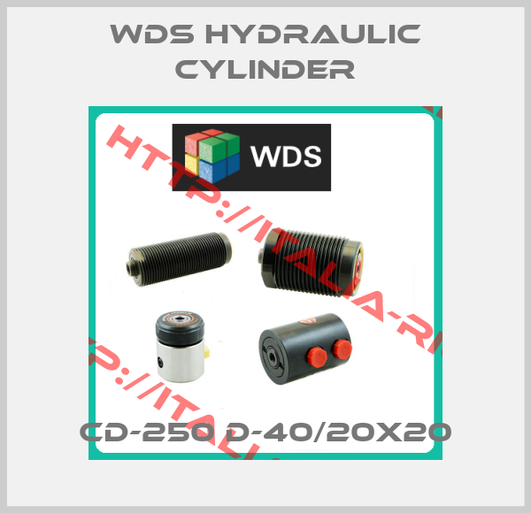 WDS Hydraulic cylinder-CD-250 D-40/20X20