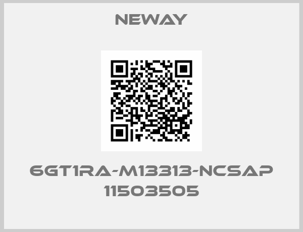 neway-6GT1RA-M13313-NCSAP 11503505