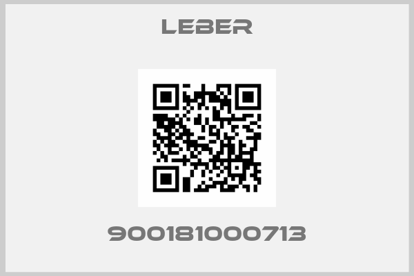 LEBER-900181000713