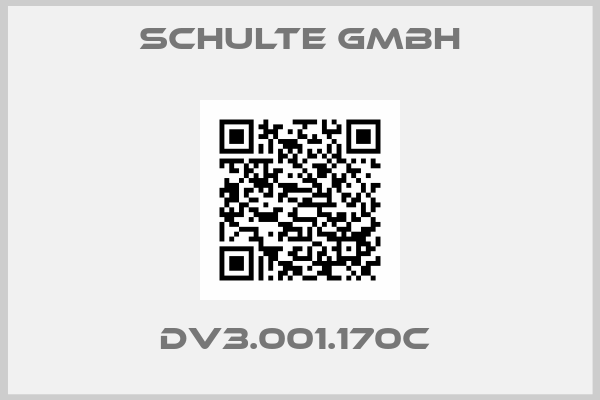 Schulte GmbH- DV3.001.170C 