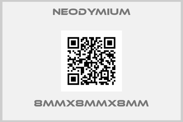 Neodymium-8MMX8MMX8MM
