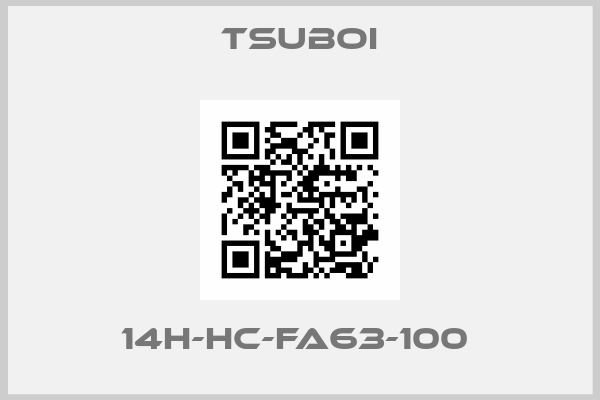 TSUBOI-14H-HC-FA63-100 
