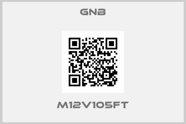GNB-M12V105FT