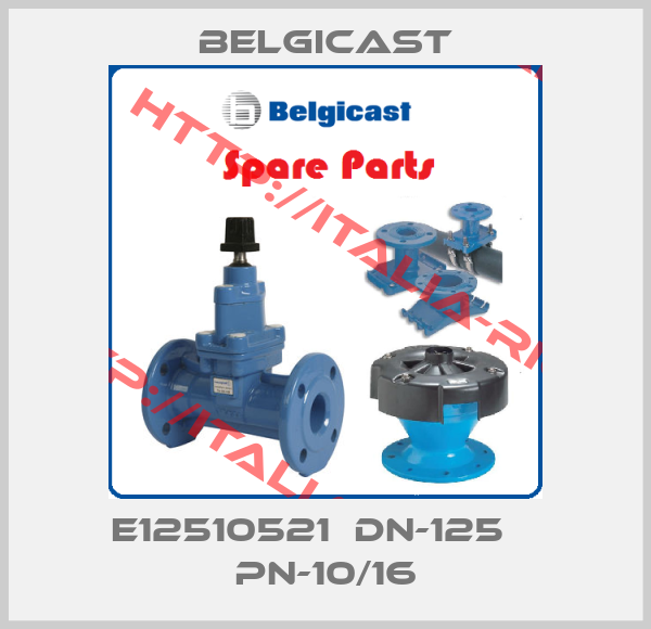 Belgicast-E12510521  DN-125    PN-10/16