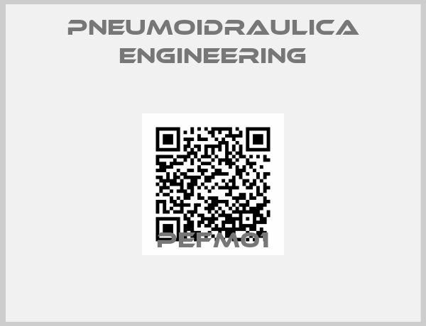 Pneumoidraulica Engineering-PEFM01