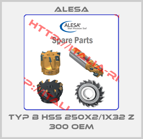 ALESA-TYP B HSS 250x2/1x32 Z 300 OEM