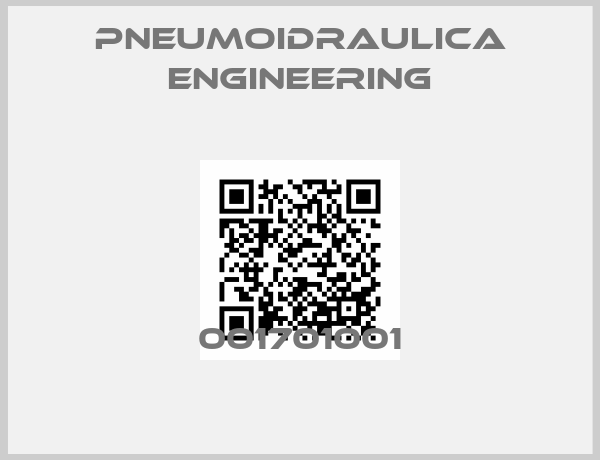Pneumoidraulica Engineering-001701001