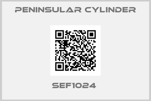 Peninsular Cylinder-SEF1024 