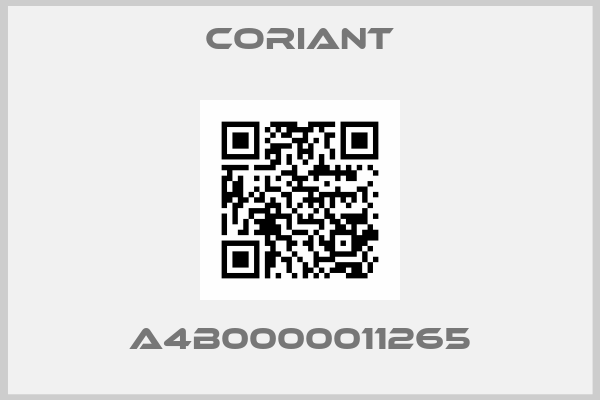 Coriant-A4B0000011265
