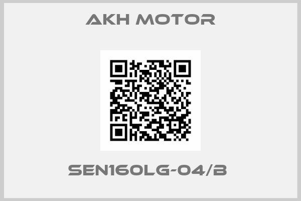 AKH Motor-SEN160LG-04/B 